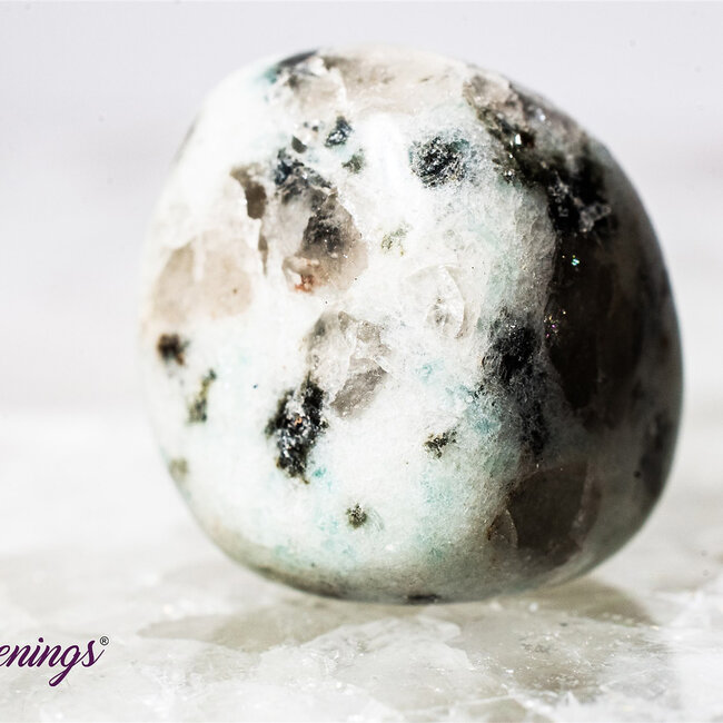Kiwi Jasper (Amazon River Stone Sesame) - Tumbled