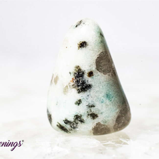 Kiwi Jasper (Amazon River Stone Sesame) - Tumbled
