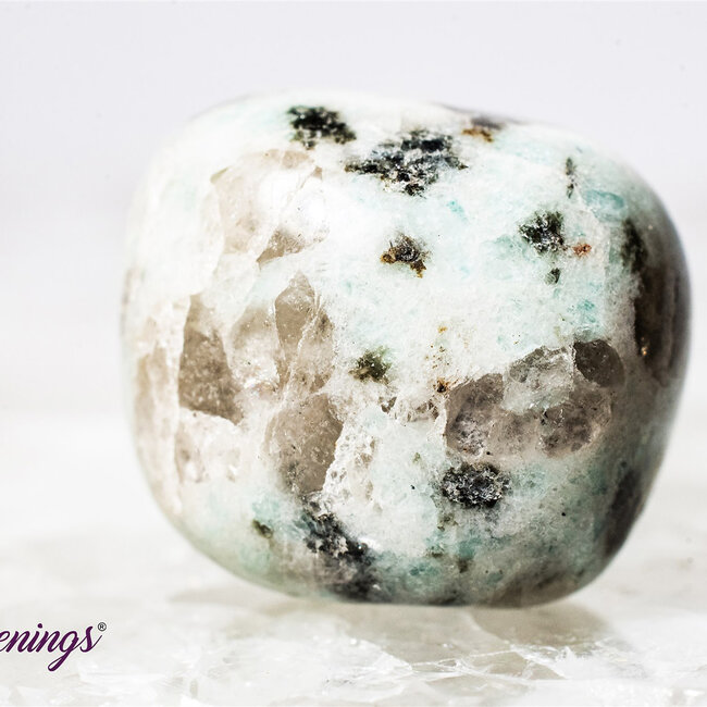 Kiwi Jasper (Amazon River Stone Sesame) - Tumbled