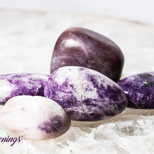 Lepidolite (Purple Mica) - Tumbled Smooth