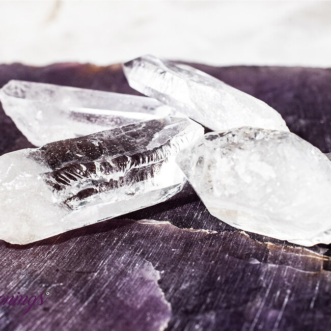 Lemurian (Lumerian) Seed Quartz Points - Small Rough Raw Natural