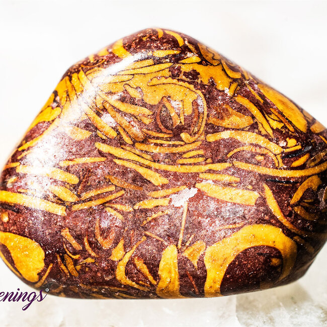 Arabic Miriam Jasper (Calligraphy Script Stone) - Tumbled