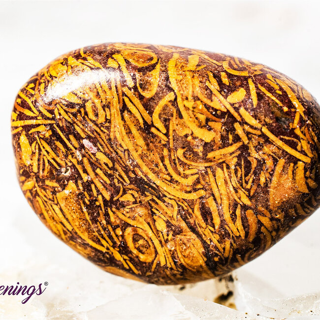 Arabic Miriam Jasper (Calligraphy Script Stone) - Tumbled