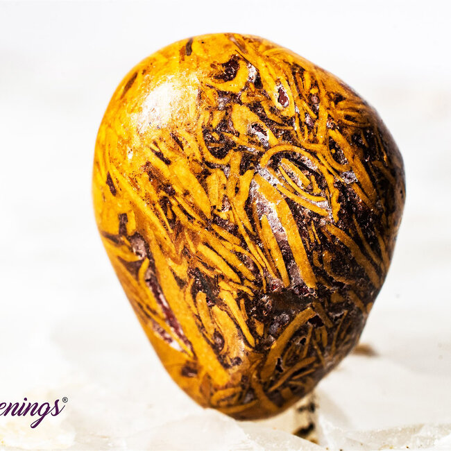 Arabic Miriam Jasper (Calligraphy Script Stone) - Tumbled