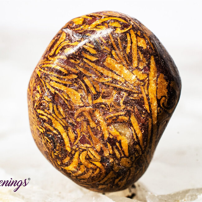 Arabic Miriam Jasper (Calligraphy Script Stone) - Tumbled