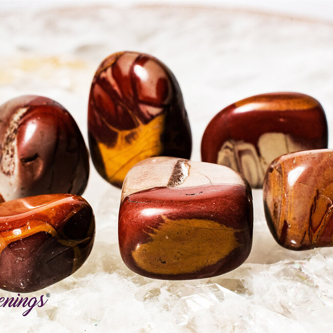 Noreena Jasper- Tumbled