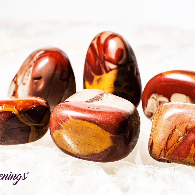 Noreena Jasper- Tumbled