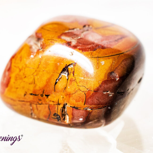 Noreena Jasper- Tumbled