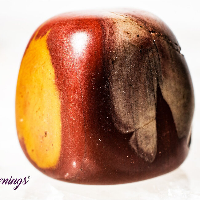 Noreena Jasper- Tumbled