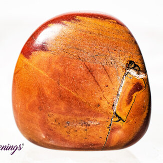 Noreena Jasper- Tumbled