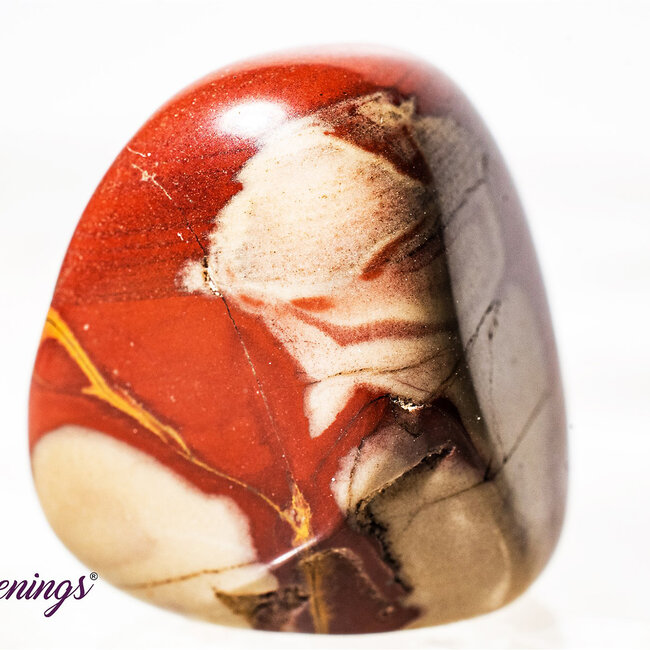 Noreena Jasper- Tumbled