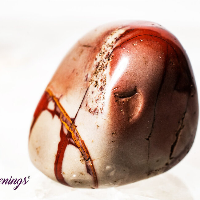 Noreena Jasper- Tumbled