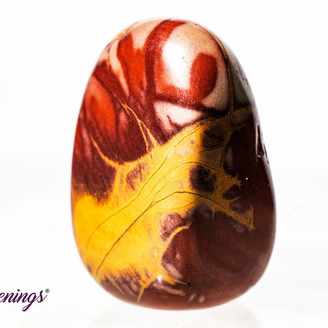 Noreena Jasper- Tumbled