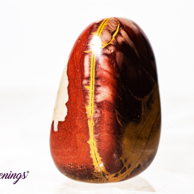 Noreena Jasper- Tumbled