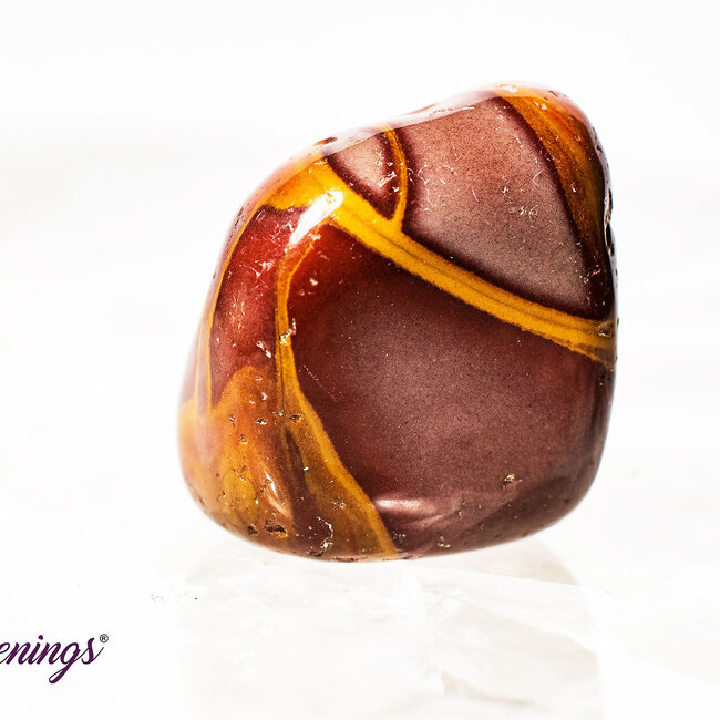 Noreena Jasper- Tumbled