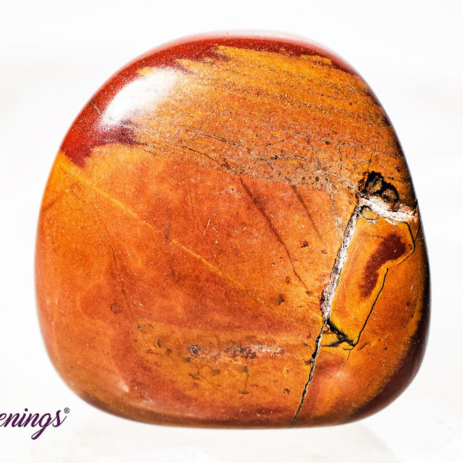 Noreena Jasper- Tumbled