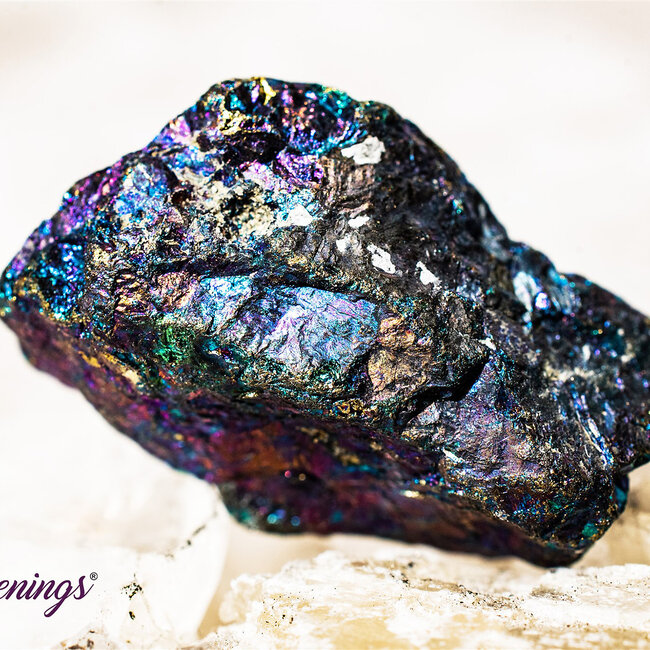 Peacock Ore (Chalcopyrite Bornite) Small - Rough Raw Natural