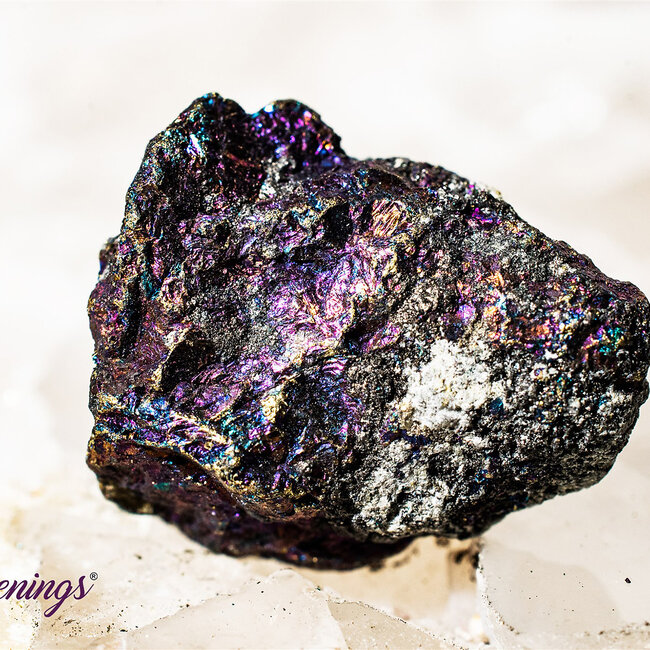 Peacock Ore (Chalcopyrite Bornite) Small - Rough Raw Natural