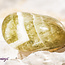 Chevron Prasiolite (Green Amethyst) - Tumbled