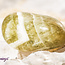 Prasiolite (Green Amethyst) - Tumbled