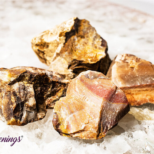 Petrified Wood - Rough Raw Natural