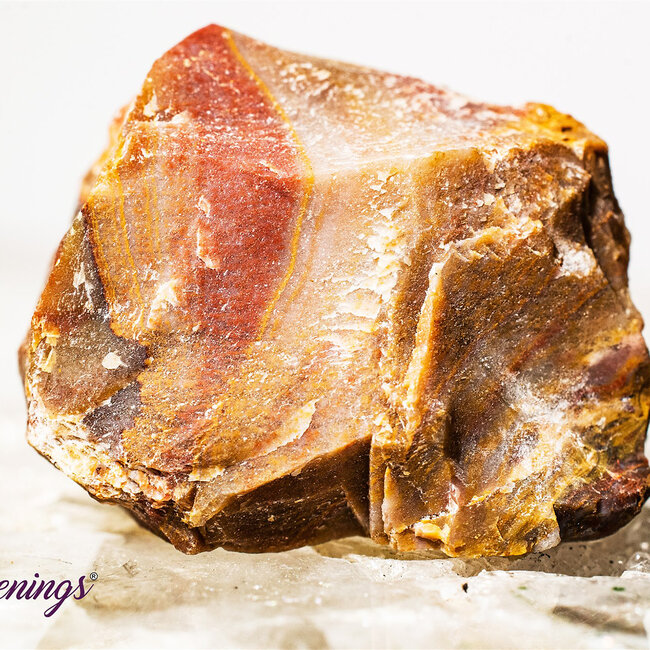 Petrified Wood - Rough Raw Natural