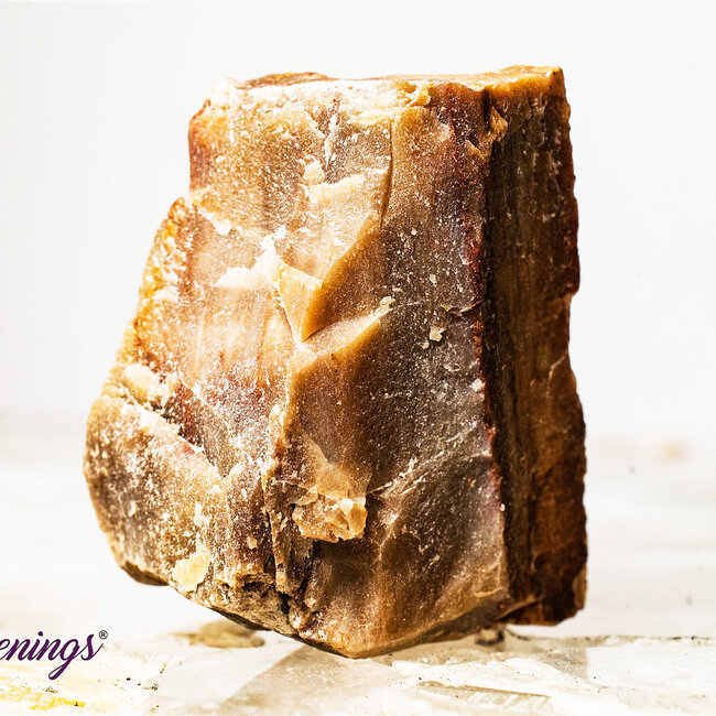 Petrified Wood - Rough Raw Natural