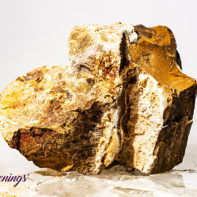 Petrified Wood - Rough Raw Natural