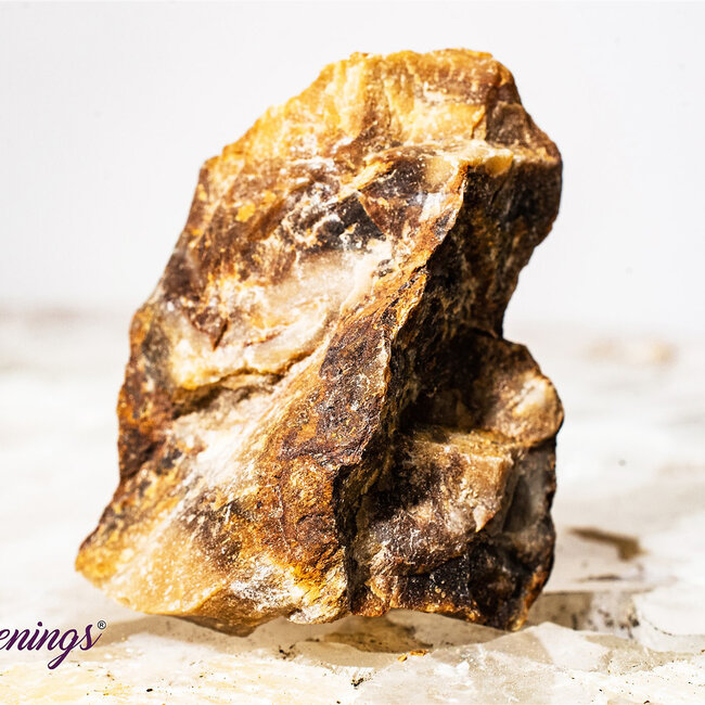 Petrified Wood - Rough Raw Natural