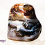 Petrified Wood Medium - Tumbled