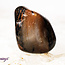 Petrified Wood Medium - Tumbled