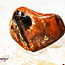 Petrified Wood Medium - Tumbled