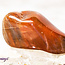 Petrified Wood Medium - Tumbled