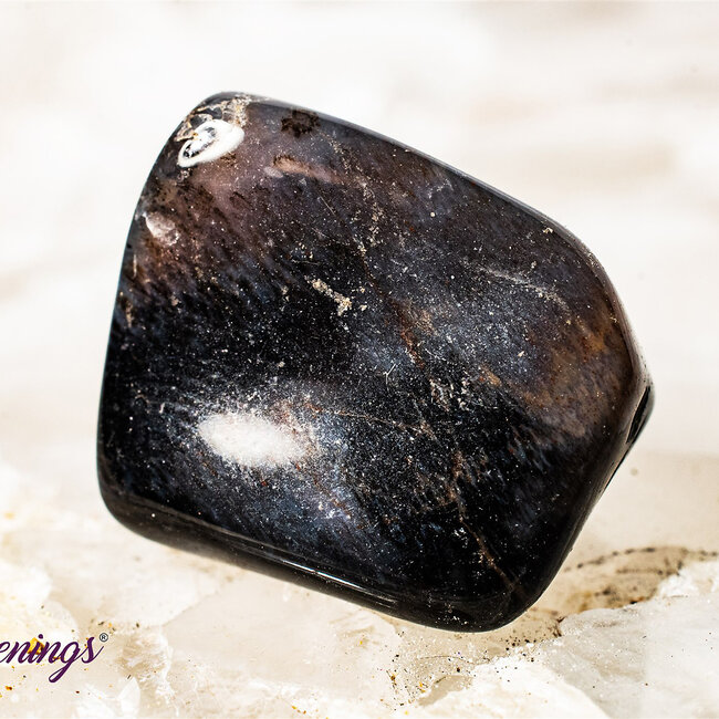 Petrified Wood Medium - Tumbled