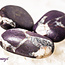 Purpurite - Polished Tumbled