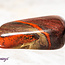 Poppy Jasper - Tumbled