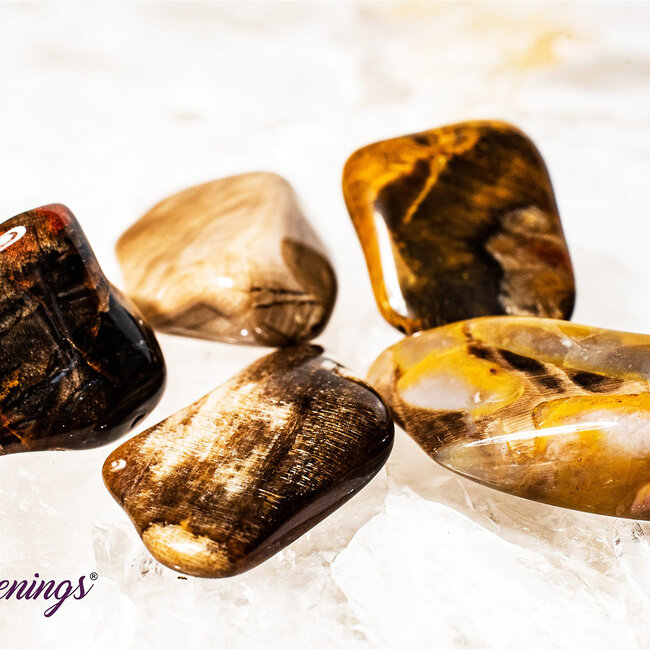 Peanut Wood Jasper - Tumbled Smooth