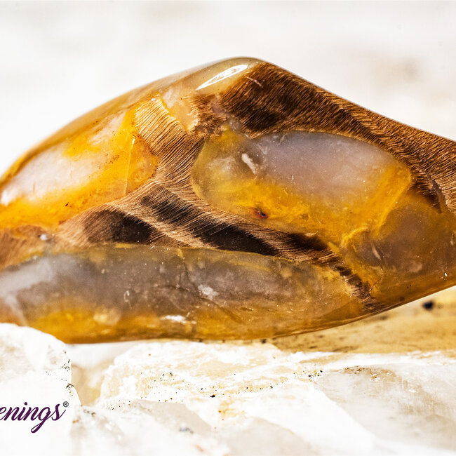 Peanut Wood Jasper - Tumbled Smooth