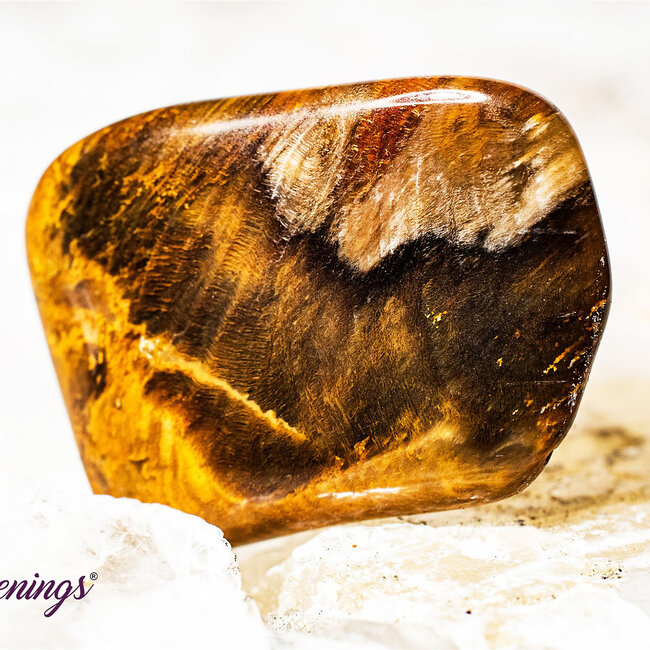 Peanut Wood Jasper - Tumbled Smooth