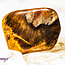 Peanut Wood Jasper - Tumbled Smooth