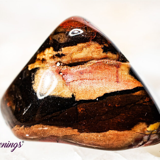 Peanut Wood Jasper - Tumbled Smooth