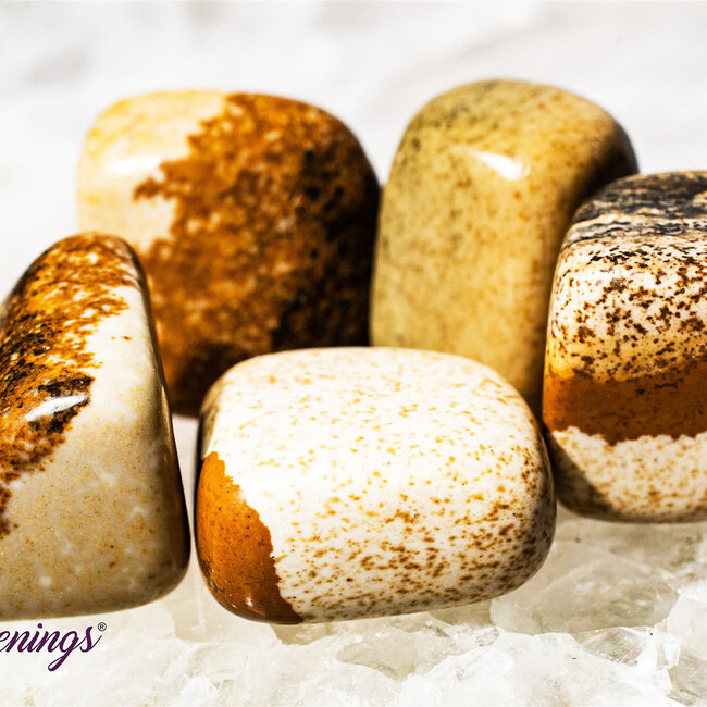 Picture Jasper - Tumbled