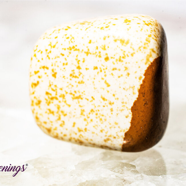 Picture Jasper - Tumbled