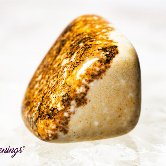 Picture Jasper - Tumbled