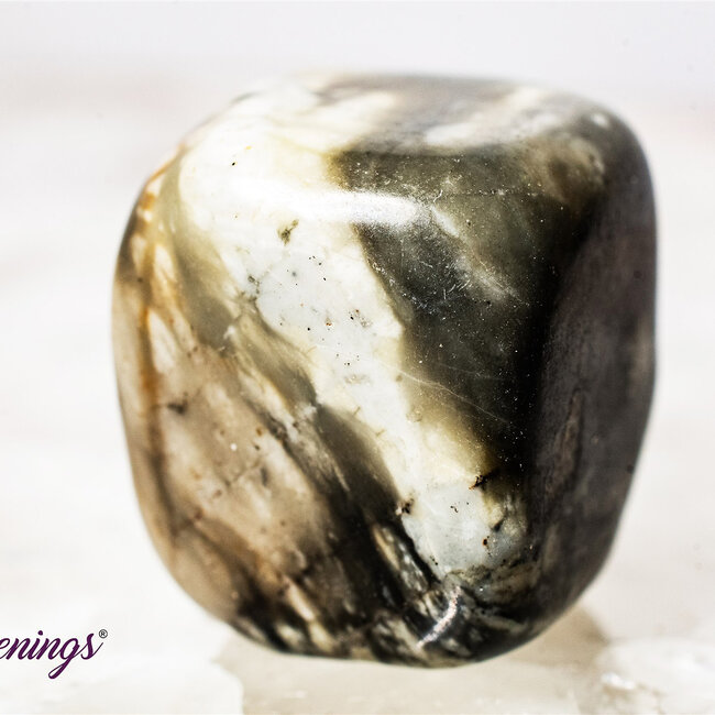 Picasso Jasper - Tumbled
