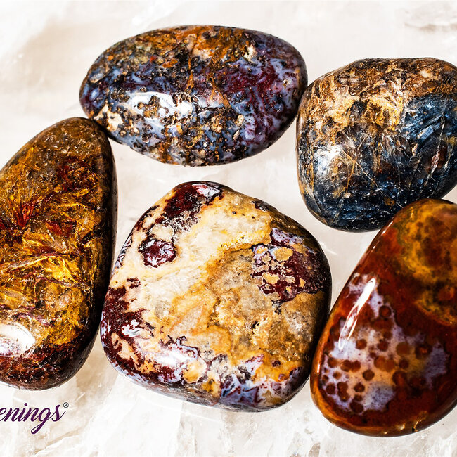 Pietersite (Tempest Stone) - Tumbled