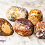 Red Palm Root (Palmwood) Fossil - Tumbled Smooth