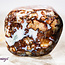 Red Palm Root (Palmwood) Fossil - Tumbled Smooth