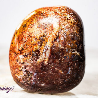 Red Palm Root (Palmwood) Fossil - Tumbled Smooth