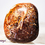 Red Palm Root (Palmwood) Fossil - Tumbled Smooth